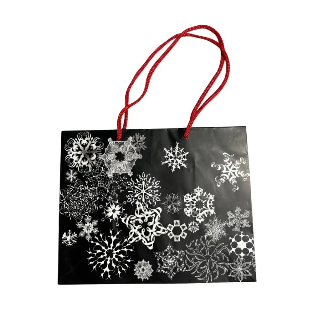Saks Fifth Avenue Shopping Gift Bag great Condition 10x8x6